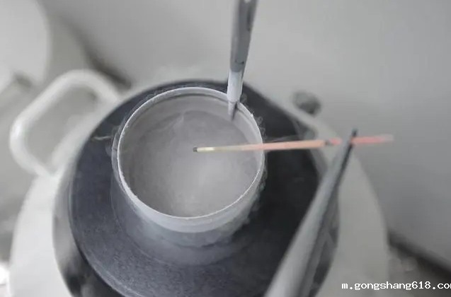 细胞冻存 细胞冻存